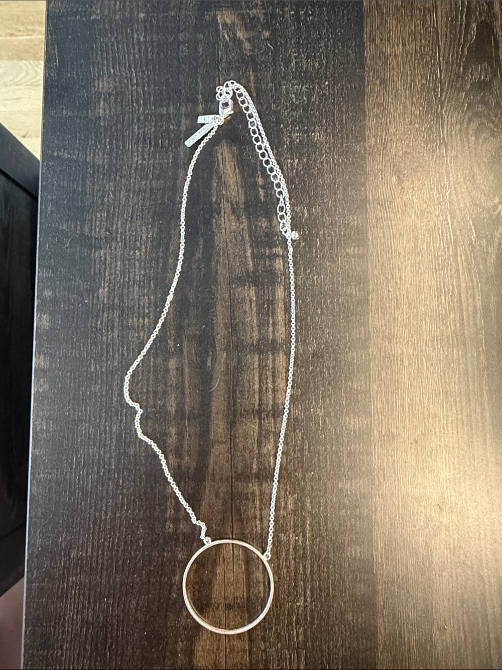 Lele Sadoughi Sterling Silver Open Circle Pendant Necklace - Silver